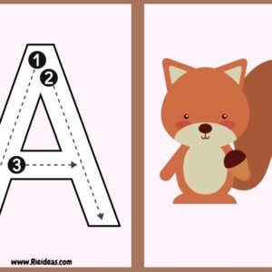 Flash Cards. Trazo de letras, ABC español.