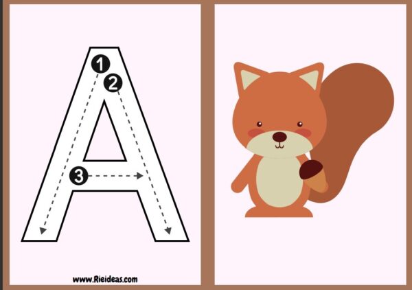 Flash Cards. Trazo de letras, ABC español.